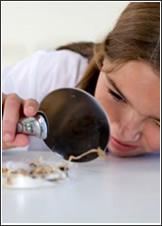 Experimentos para ni&ntilde;os