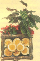 Adornos florales
